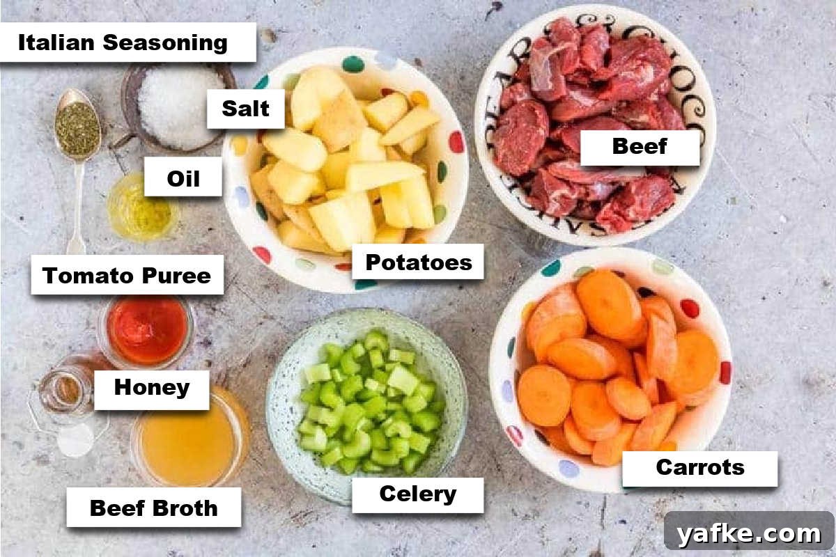 Dump-and-Start Instant Pot Beef Stew 4 the ingredients needed to make instant pot beef stew