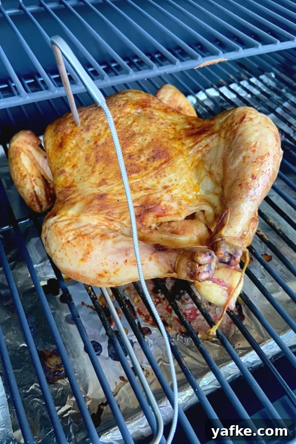 How to Smoke a Whole Chicken for Juicy Smoky Flavor 4 thermometer checking internal temperature of meat