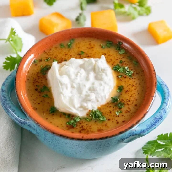 A bowl of squash soup with burrata and cilantro on top and chunks of squash and cilantro in the background.