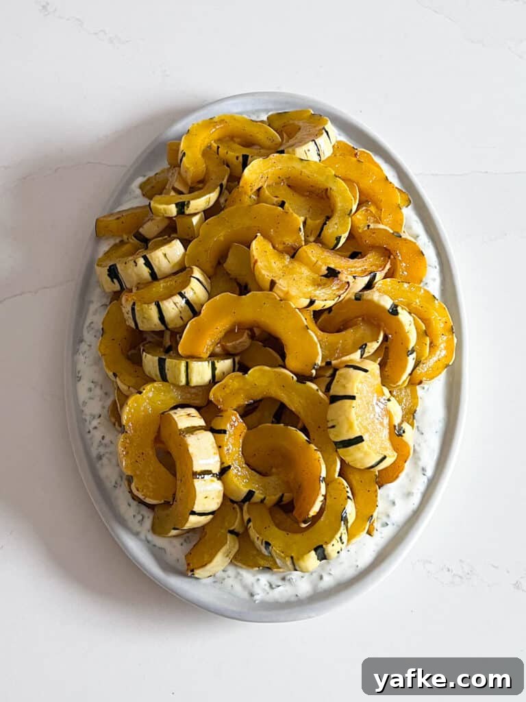 Roasted Delicata Squash with Herbed Yogurt Recipe 9 Delicata squash piled onto the platter over the yogurt.
