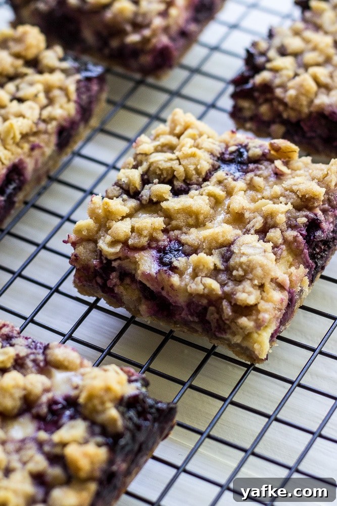 Blueberry Lemon Cream Streusel Bars Recipe 3 Blueberry Lemon Cream Streusel Bars