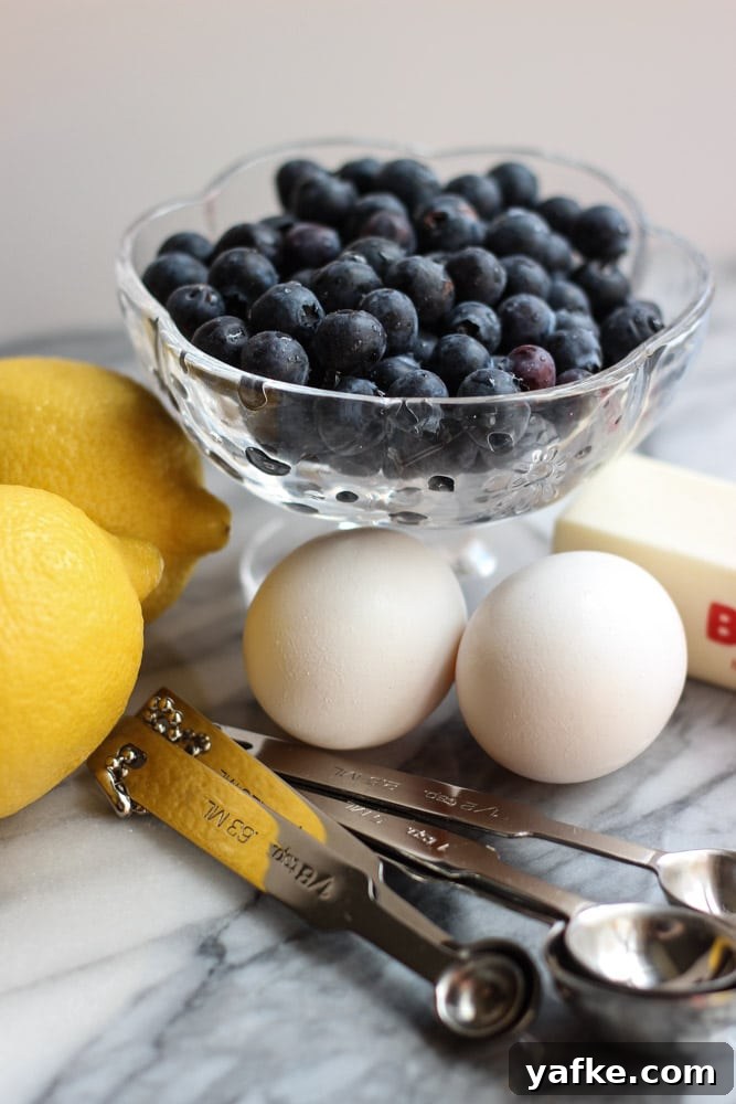 Blueberry Lemon Cream Streusel Bars Recipe 4 Blueberry Lemon Cream Streusel Bars