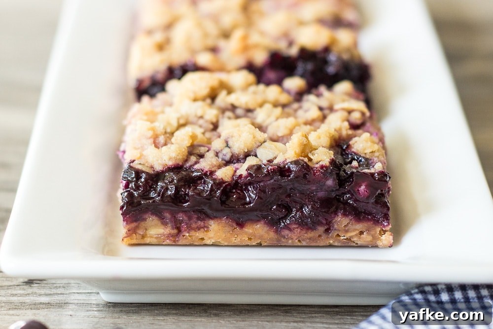 Blueberry Lemon Cream Streusel Bars Recipe 5 Blueberry Lemon Cream Streusel Bars
