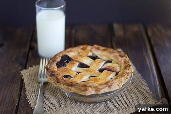 A pie with Concord Grape Pie Filling on a plate.