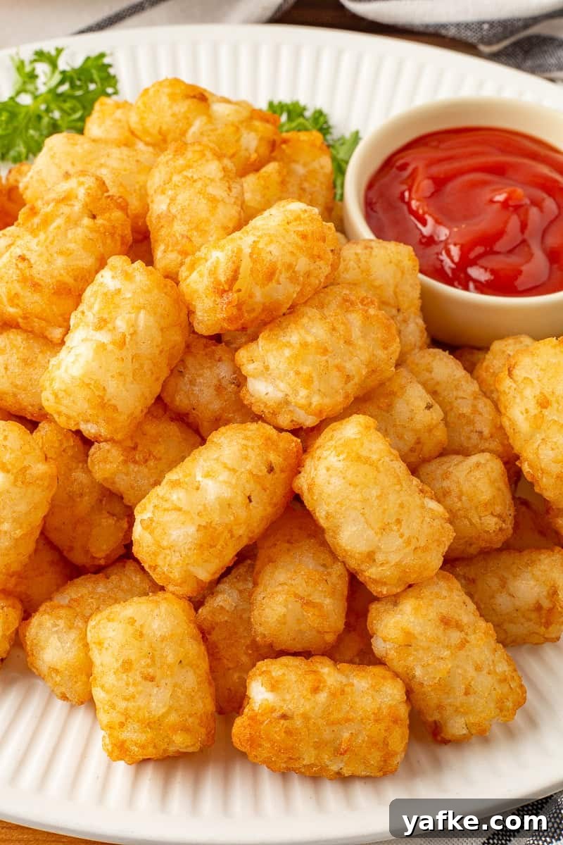Crispy Air Fryer Tater Tots from Frozen 7 img 28286 8