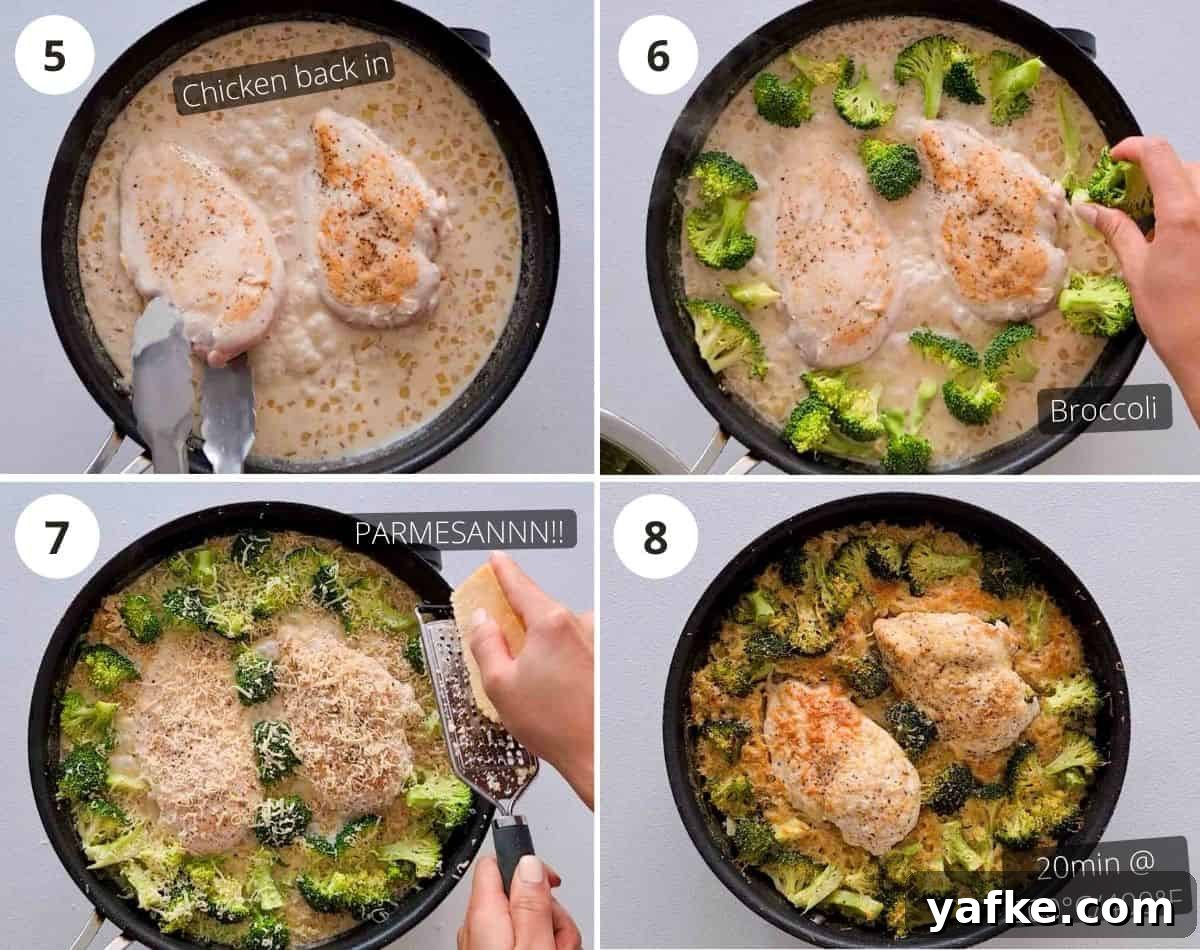 step by step instructions part 2