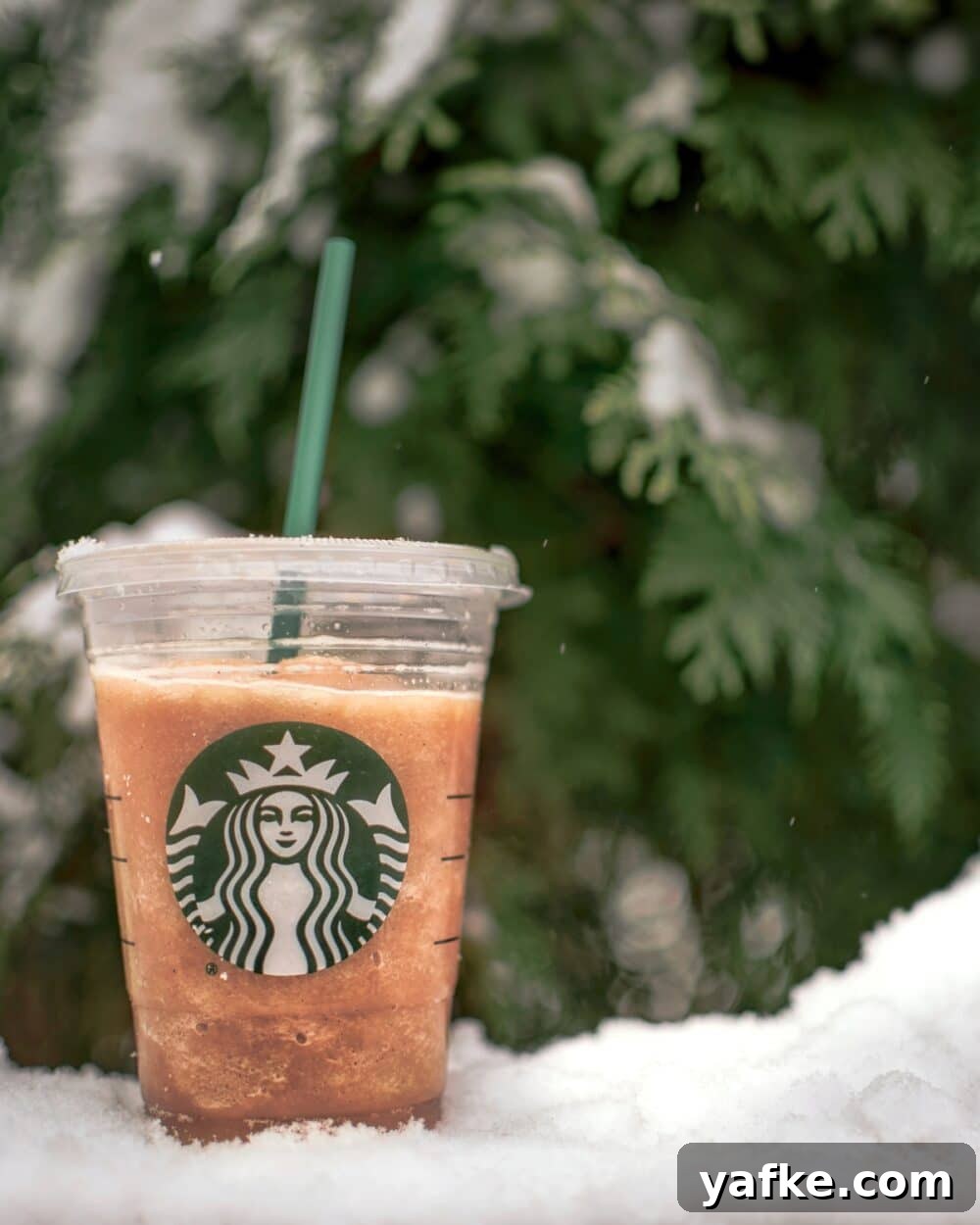 Keto Starbucks Featured Image Keto Starbucks Drinks like a Frappuccino