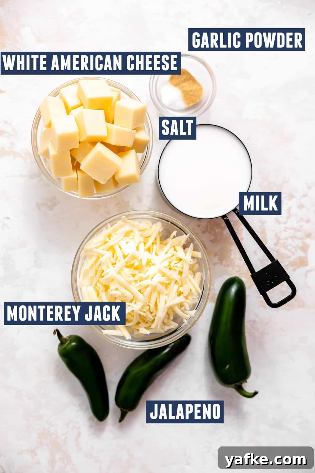 Creamy White Queso Dip Recipe for Tacos and Chips 2 Ingredients needed to make white queso.