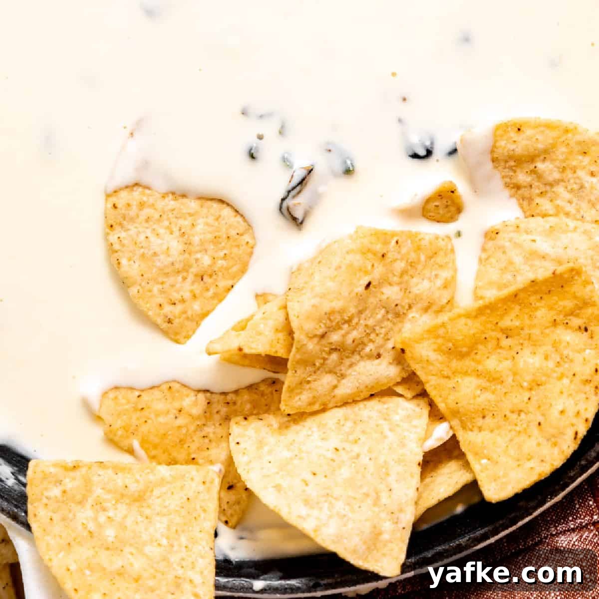 Creamy White Queso Dip Recipe for Tacos and Chips 6 Chips dipped into white queso