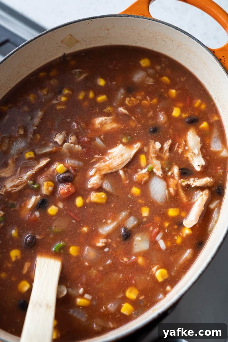 Chicken Tortilla Soup Recipe with Avocado and Lime 6 All soup ingredients in the pot.