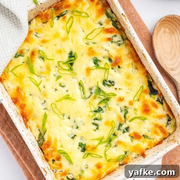 Overhead view of cheesy rice casserole in a baking dish.