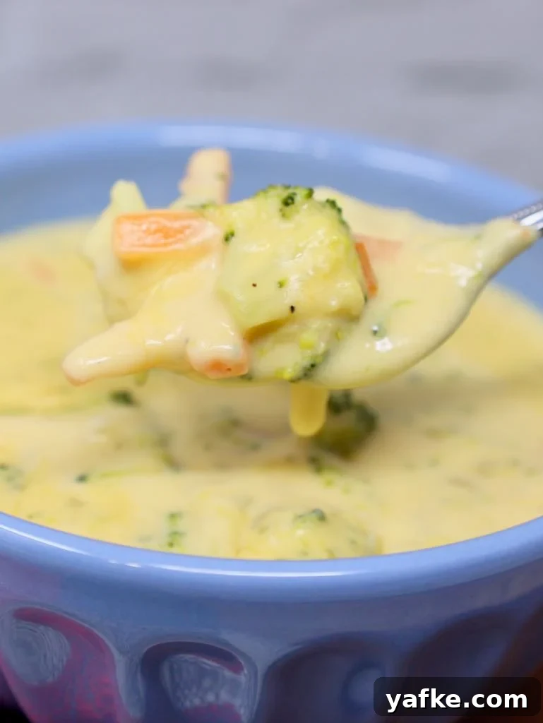 Panera Broccoli Cheddar Soup
