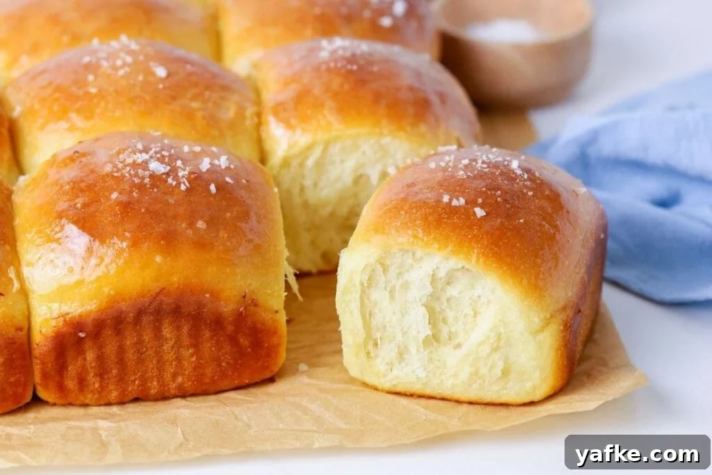 Fluffy Sourdough Discard Honey Butter Dinner Rolls 2 A horizontal image of sourdough discard honey dinner rolls. One of the rolls has been pulled away from the rest so you can see the fluffy inside.