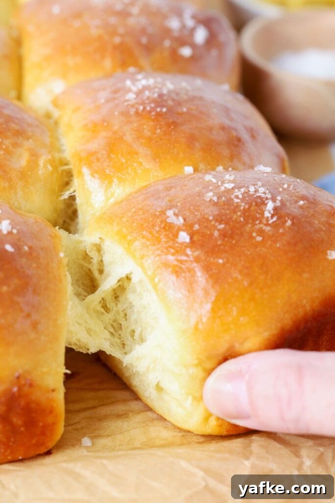 Fluffy Sourdough Discard Honey Butter Dinner Rolls 10 A batch of sourdough honey butter dinner rolls being pulled apart.