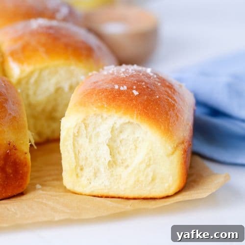Fluffy Sourdough Discard Honey Butter Dinner Rolls 12 A fluffy sourdough honey butter roll topped with flaky sea salt.