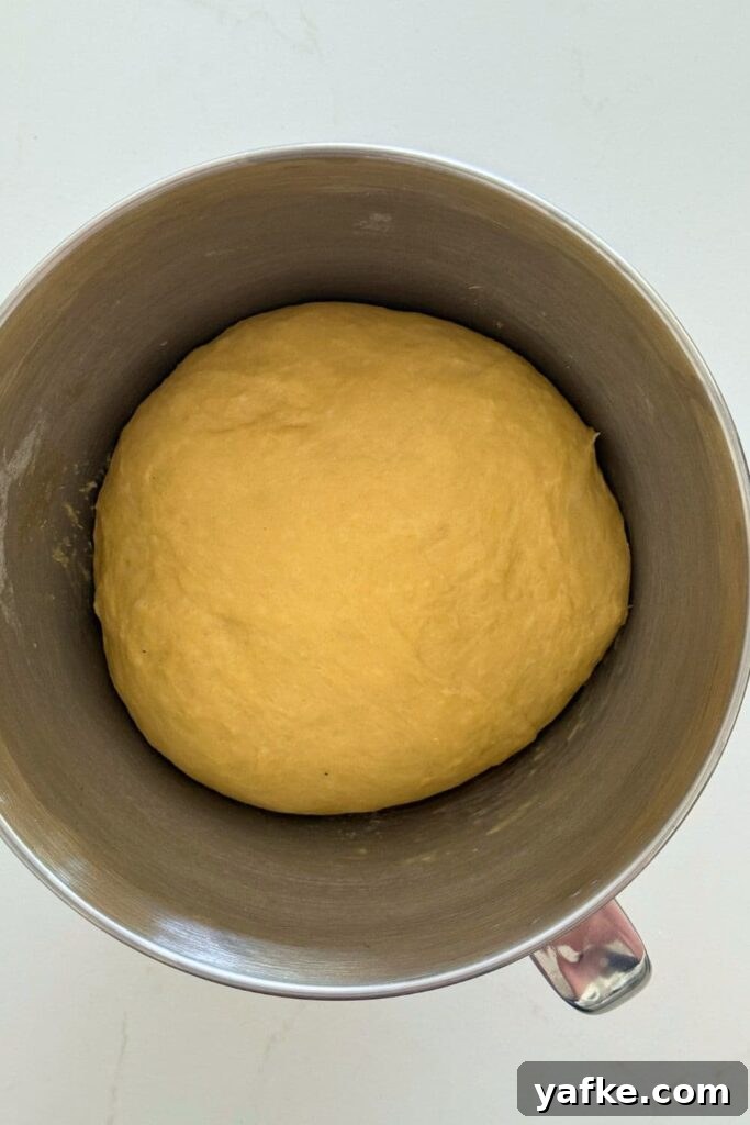 Fluffy Sourdough Discard Honey Butter Dinner Rolls 6 A stainless steel bowl of sourdough discard honey butter roll dough that has bulk fermented and is ready to be shaped.
