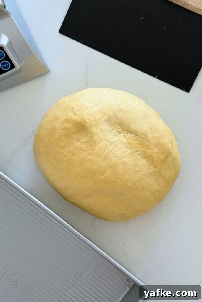 Fluffy Sourdough Discard Honey Butter Dinner Rolls 7 A ball of enriched dough sitting on the counter, ready to make a batch of sourdough discard honey butter rolls.