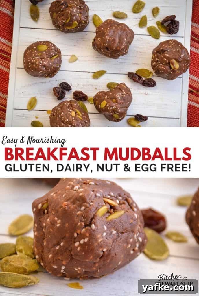 Easy and Nourishing Mudballs
