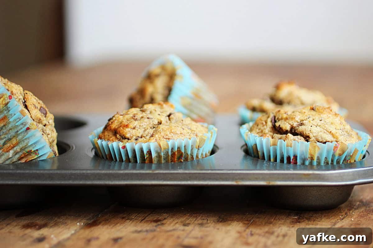 Banana Chocolate Pecan Quinoa Muffins - Gluten Free Metal pan with banana muffins in bluish paper liners on a wooden table.