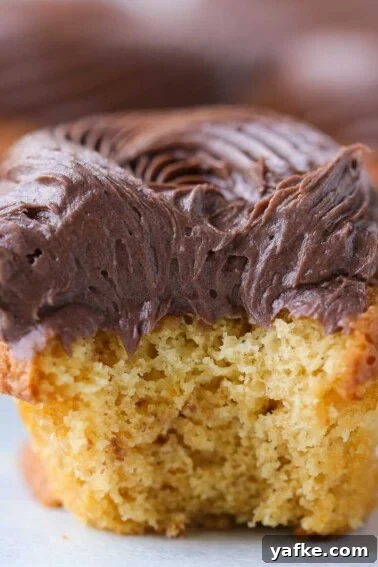 Chocolate Caramel Cupcakes Featured Sideview.