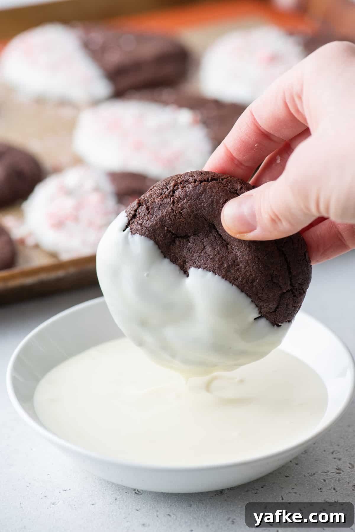 A hand dipping a chocolate cookie into melted white chocolate