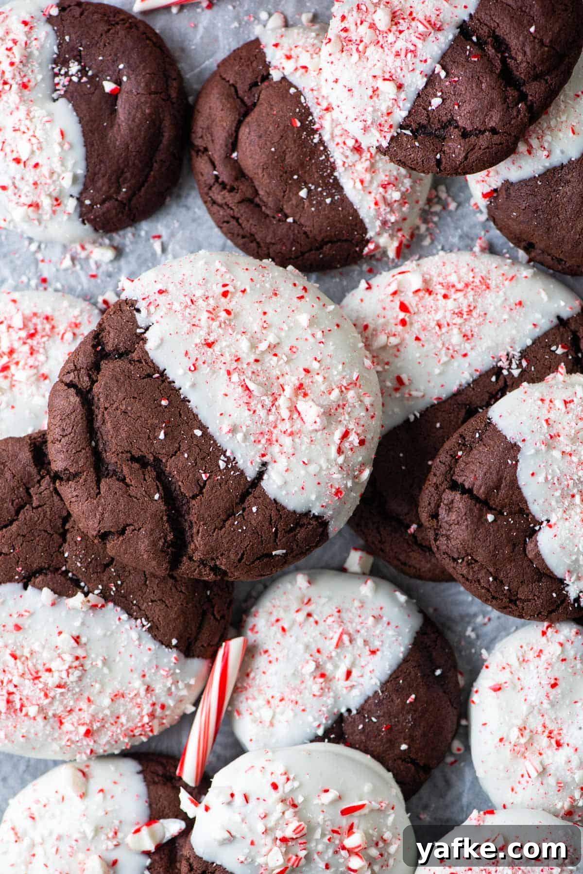 Overhead view of chocolate candy cane cookies