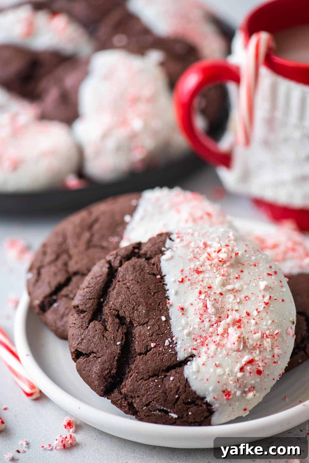 Chocolate candy cane cookies on a white plate