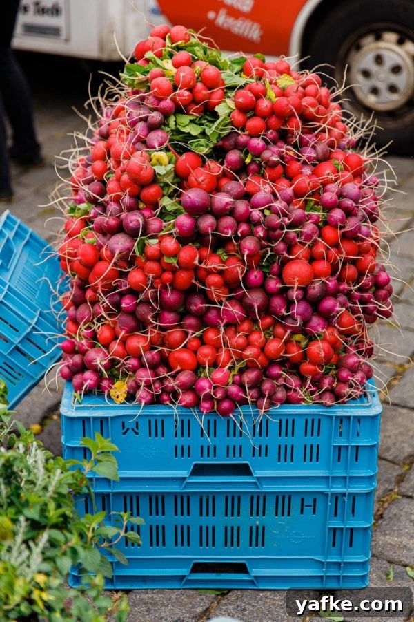 Prague Travel Guide - with recommendations on things to do in Prague, where to stay, and where to eat. #travel #prague #travelguide Radishes at Prague Farmers Market