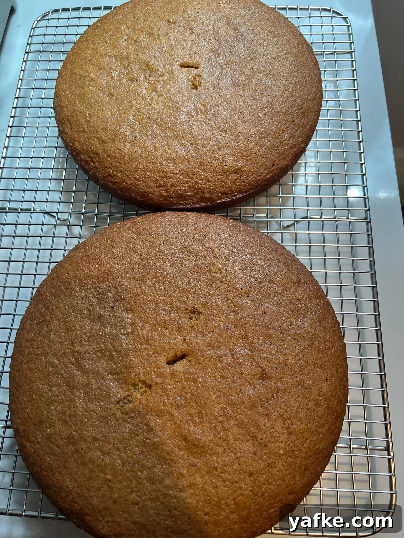 Traditional Danish Honey Cake (Honningkage) Recipe 18 Cakes cooling on a rack.