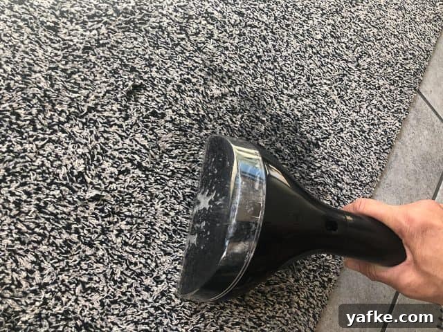 Bissell SpotClean Pro: Carpet Cleaner Review and Giveaway 8 img 47941 8
