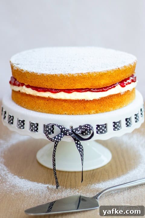 Close up of a Victorian sponge cake dusted with icing sugar