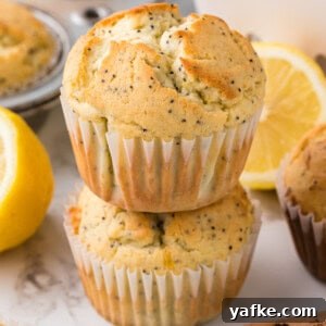 Zesty Lemon Poppy Seed Muffins Recipe 3 small photo of Lemon Poppy Seed Muffins