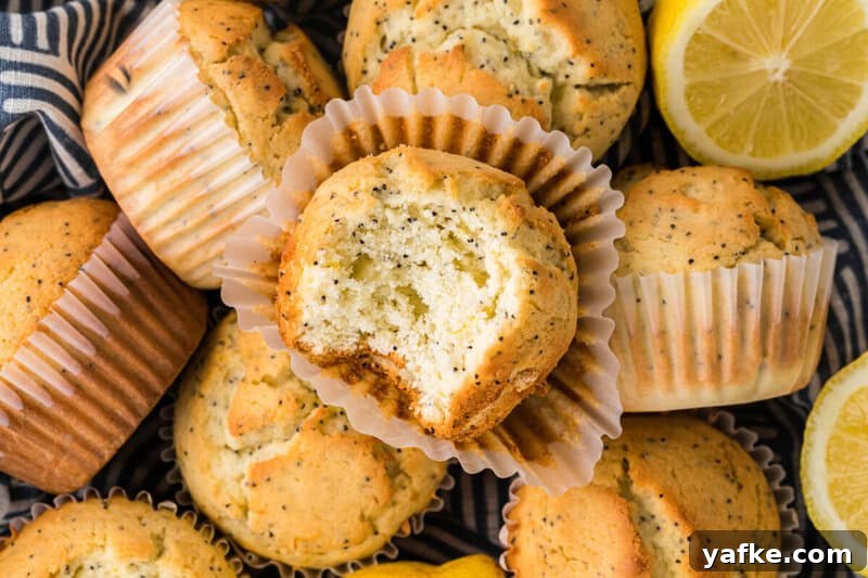 Zesty Lemon Poppy Seed Muffins Recipe 2 closeup of lemon poppy seed muffins on top of each other.