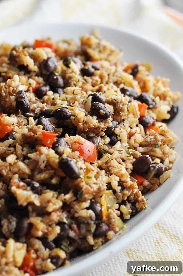 Copycat Bojangles Dirty Rice Recipe 5 Rice with Sausage and black beans on plate