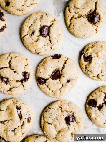 Chocolate chip cookies on a metal pan.