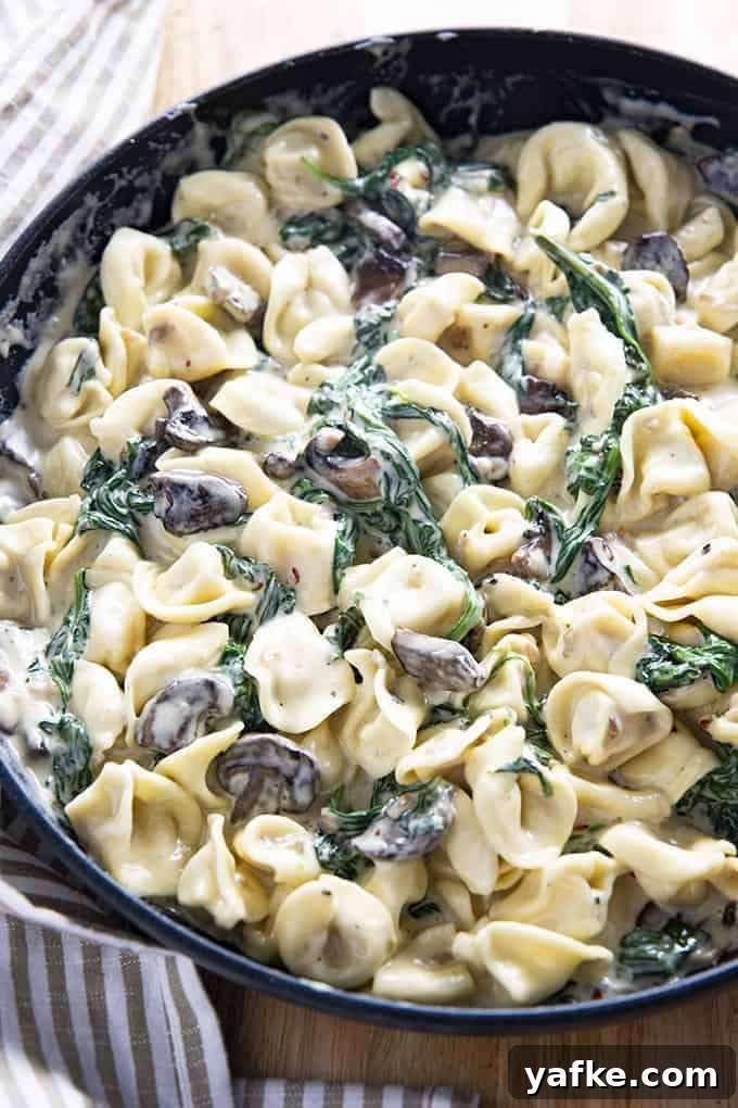 Creamy Spinach Mushroom Tortellini is an easy to make tortellini recipe with the best rich and creamy sauce! Ready in 15 minutes this is the perfect pasta for an easy dinner! spinach mushroom tortellini