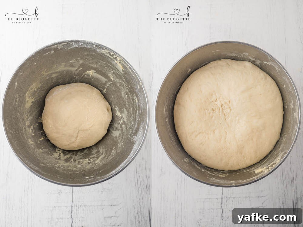 How to Make Bunny-Shaped Dinner Rolls 4 Let the dough rise
