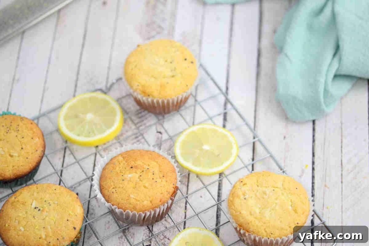 Zesty Gluten Free Lemon Protein Muffins Recipe 9 Lemon protein muffins on a cooling rack with lemons around them.