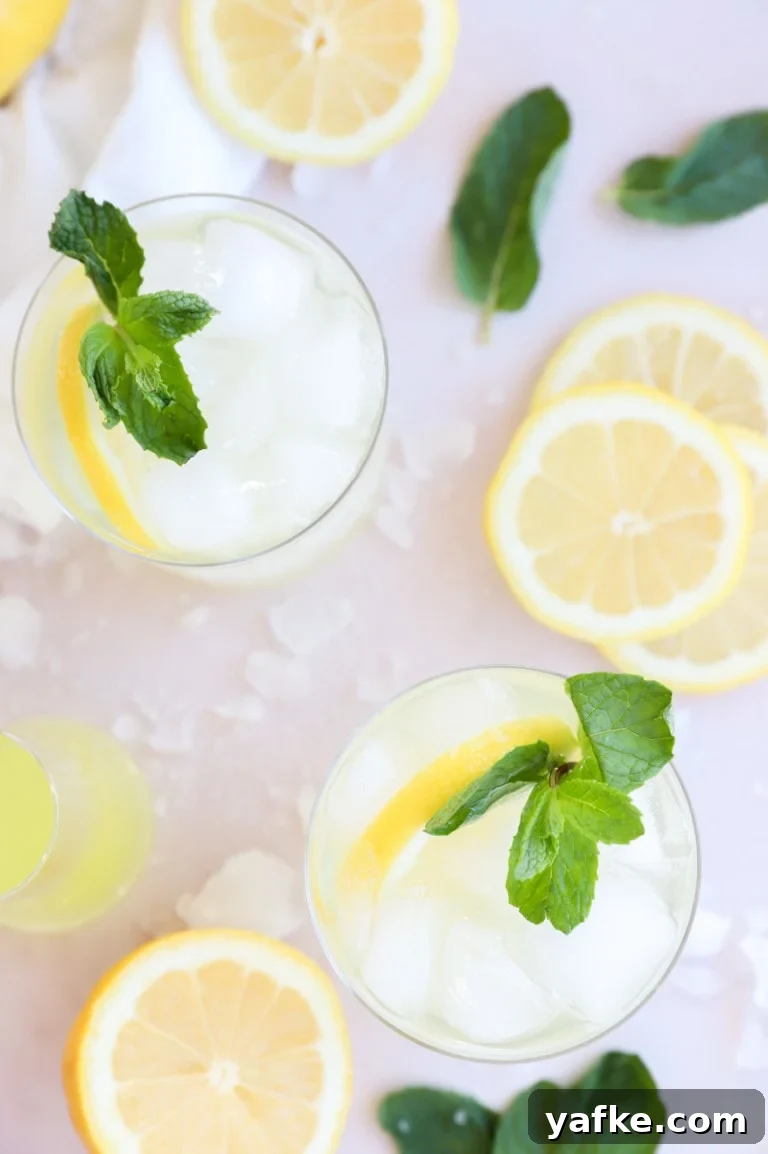 Overhead image of cocktail with lemon and prosecco