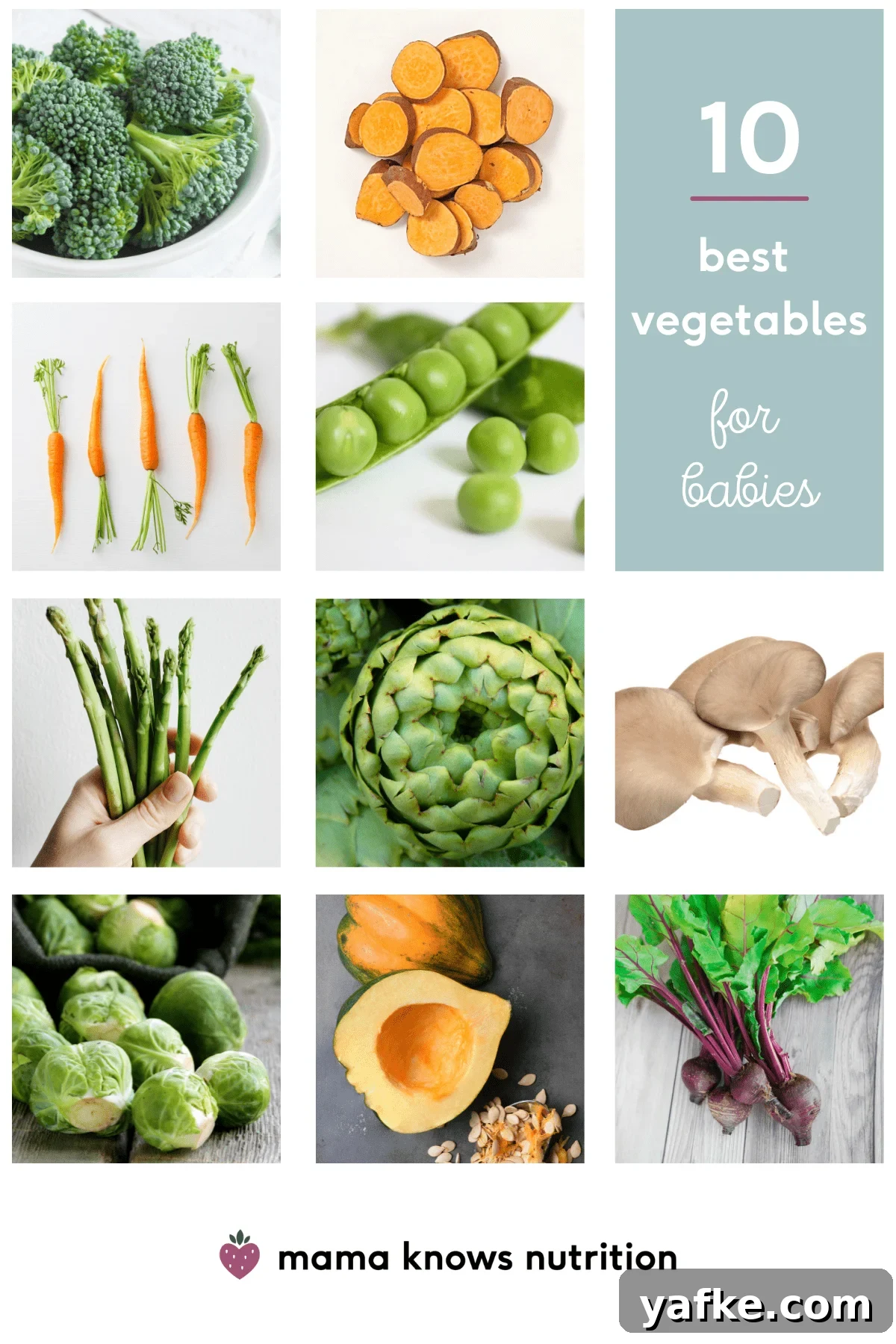variety of veggies for babies
