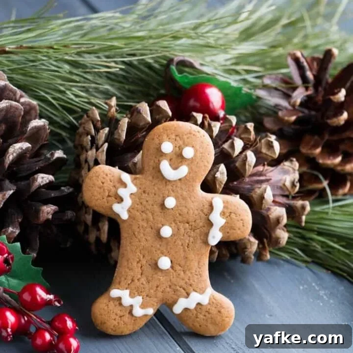 Soft Gingerbread Cookies. Soft, sink your teeth into it cookie with a nice balance of warm spices. Orange icing complements this delicious holiday treat!
