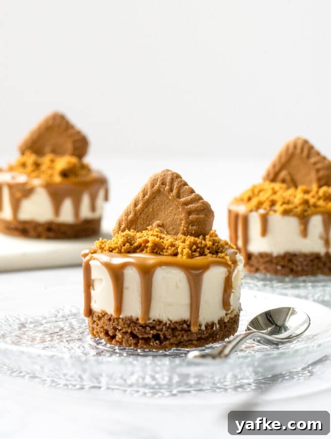 Moroccan-Style Stuffed Romano Peppers 9 Biscoff Cheesecake