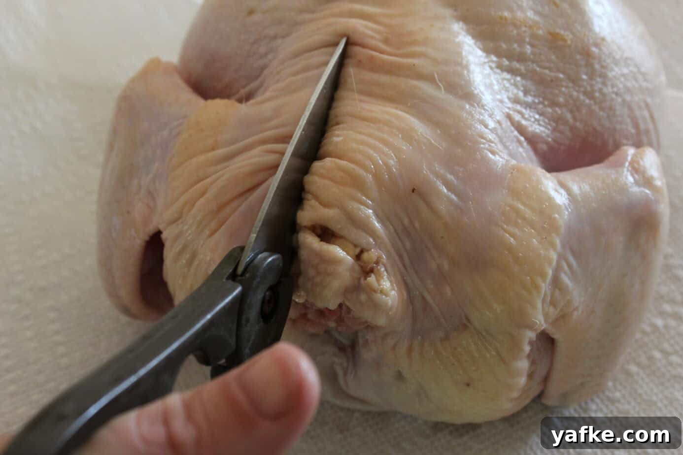How to Spatchcock a Chicken for Smoking 3 img 6955 2