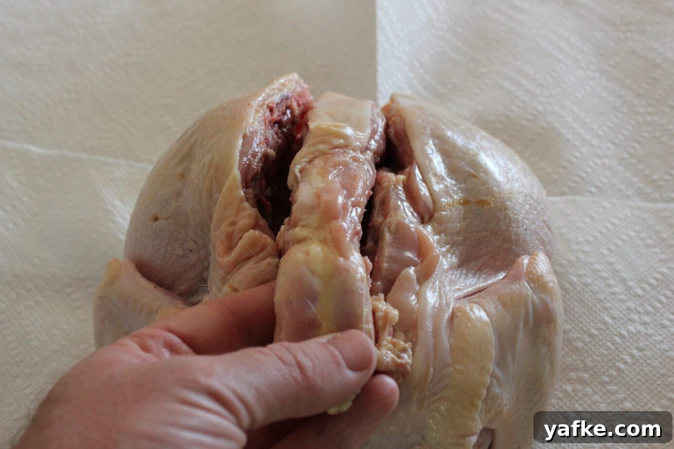 How to Spatchcock a Chicken for Smoking 4 img 6955 3