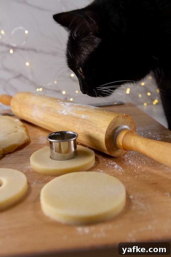 Classic Danish Salted Butter Cookies Recipe 3 A black cat looking at cookie dough.
