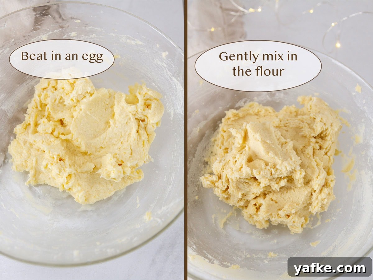 Classic Danish Salted Butter Cookies Recipe 6 Making cookie dough.