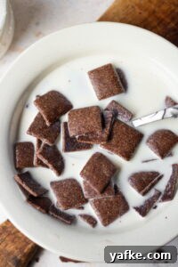 Homemade Cinnamon Cereal from Scratch 2 img 7688 2
