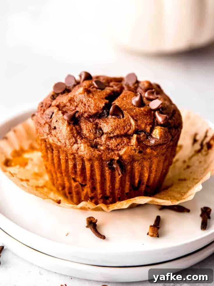 Image for Pumpkin Protein Muffins