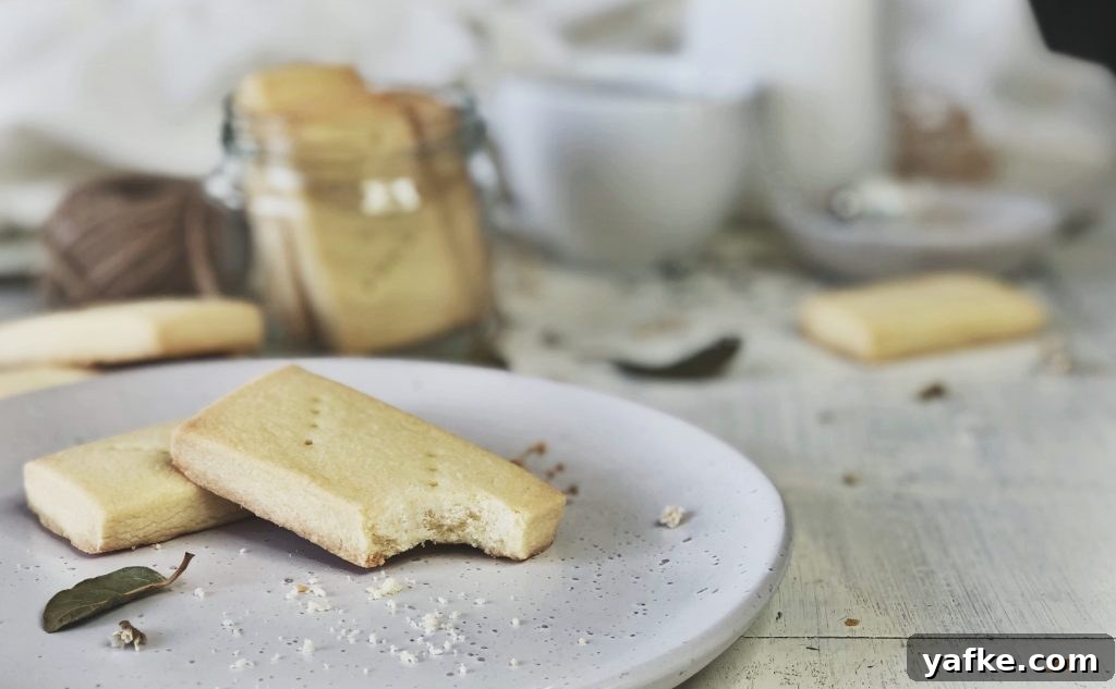 6 Irresistible Kiwi Biscuit Recipes to Try 6 Shortbread