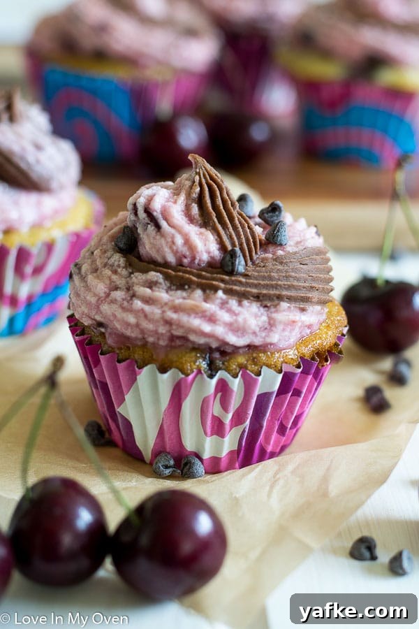 Chocolate Cherry Chip Cupcakes Recipe 2 Chocolate Cherry Chip Cupcakes